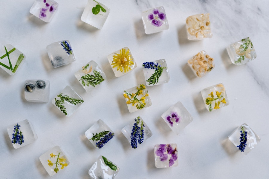 frozen herbs and flowers in ice cube trays