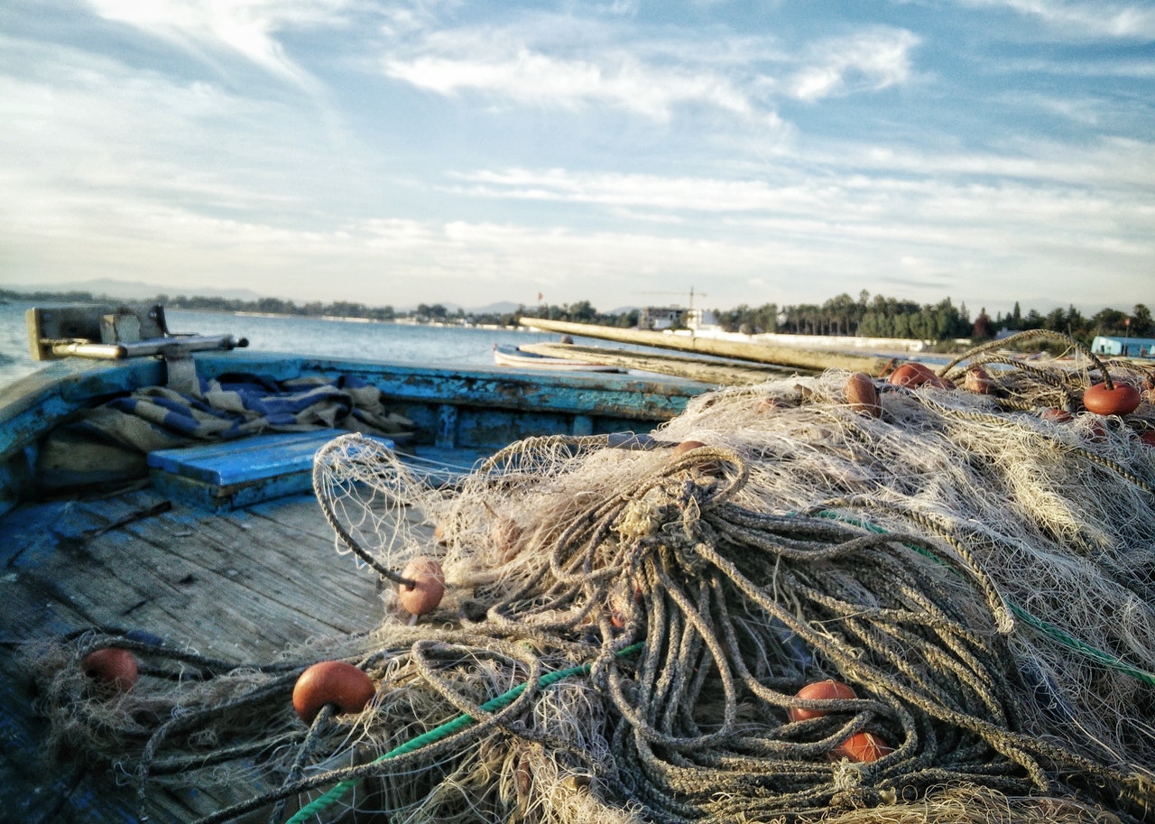fishing net pollution